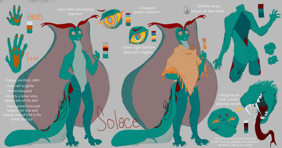 Solace Ref 2024