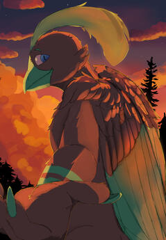 Sunset 2025 Sunset 2025